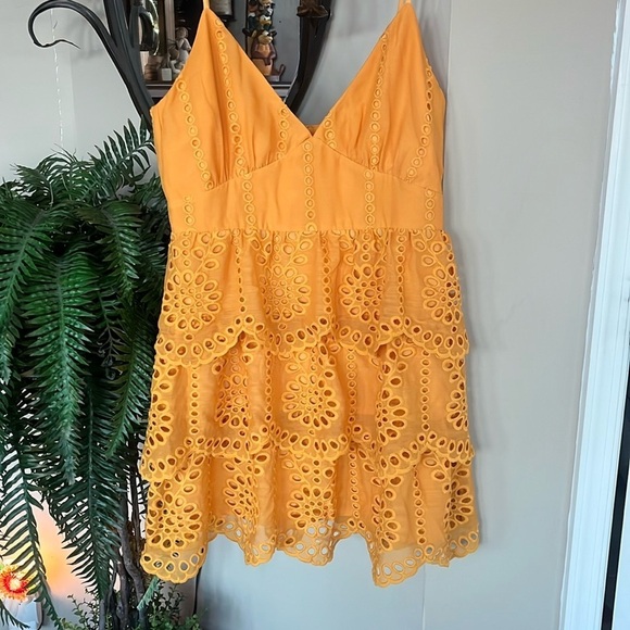 NWOT Lovers + Friends Doreen Mini Dress Mustard Embroidered Eyelet Fully Lined - Picture 6 of 15